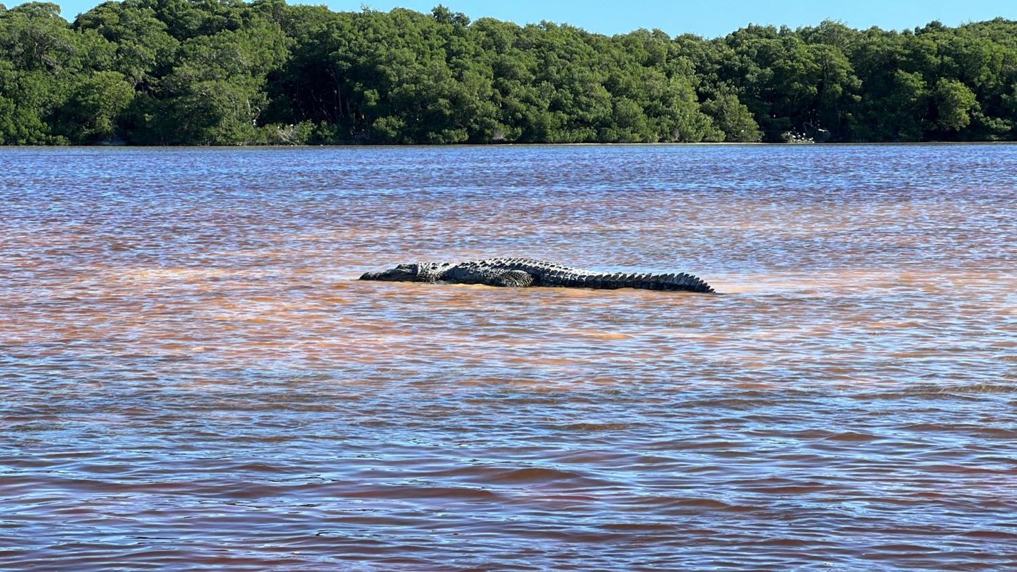 Casa Descanso Maya Con Alberca Privada, A 10 Min Del Aeropuerto Мерида Экстерьер фото